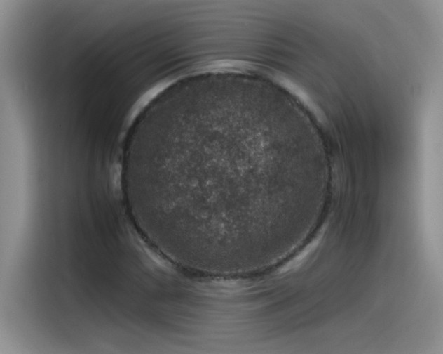 X0000115511066200911131336