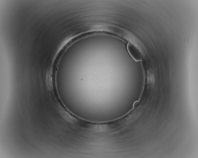 X0000115511068200911131336