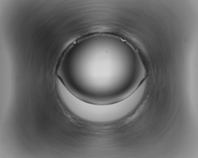 X0000115511073200911131336