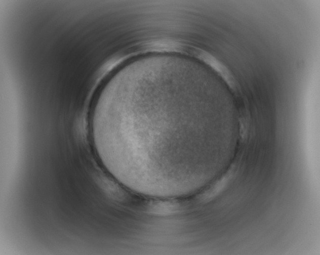 X0000115511074200911131336