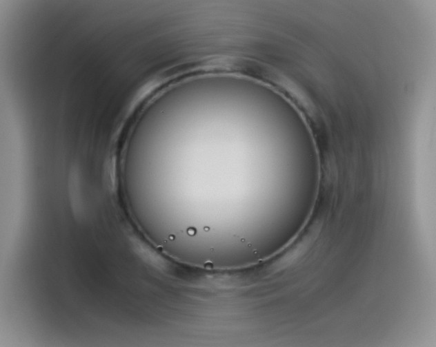 X0000115511075200911131336