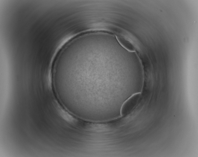 X0000115511076200911131336