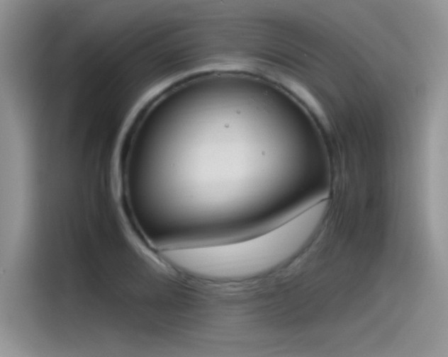 X0000115511080200911131336