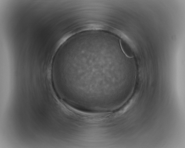 X0000115511081200911131336