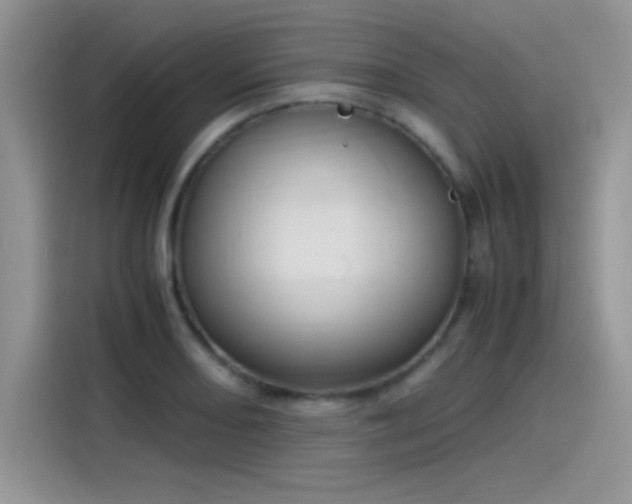 X0000115511082200911131336