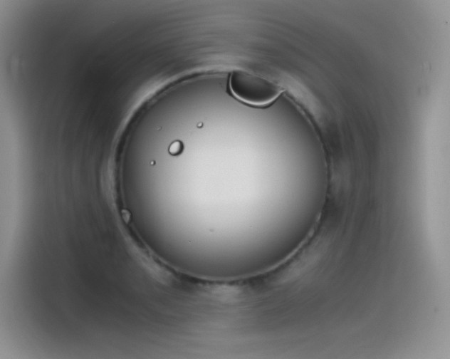 X0000115511085200911131336