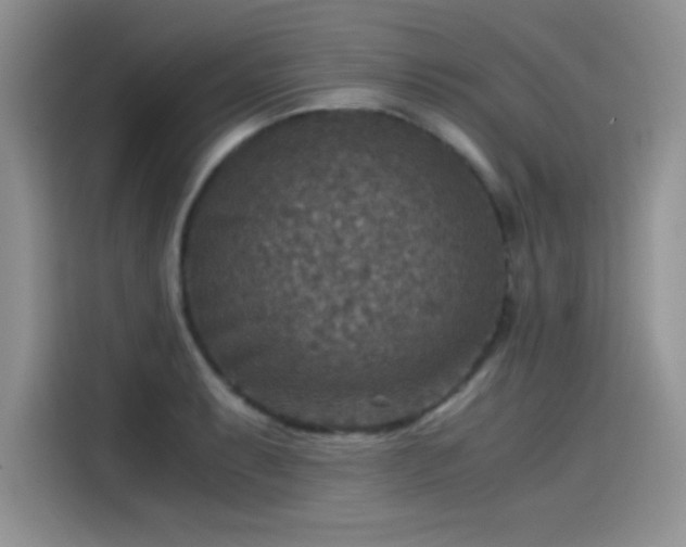 X0000115511087200911131336