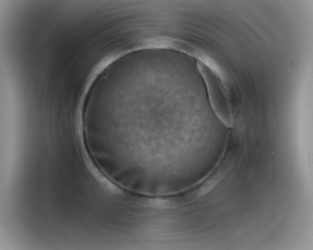 X0000115511088200911131336