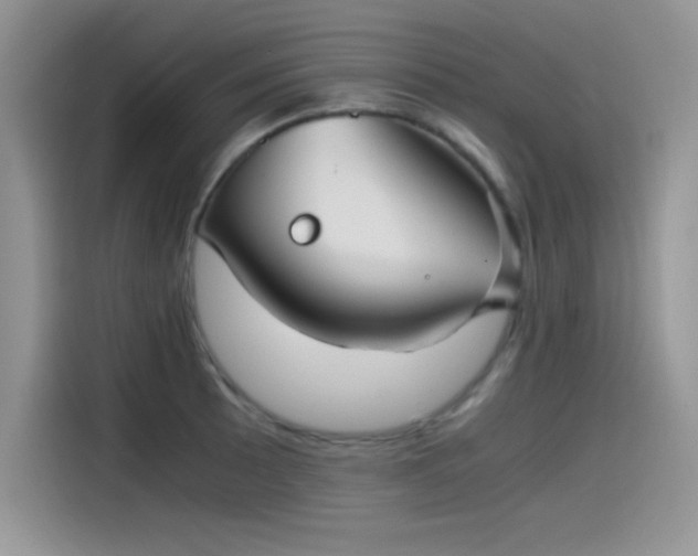 X0000115511089200911131336