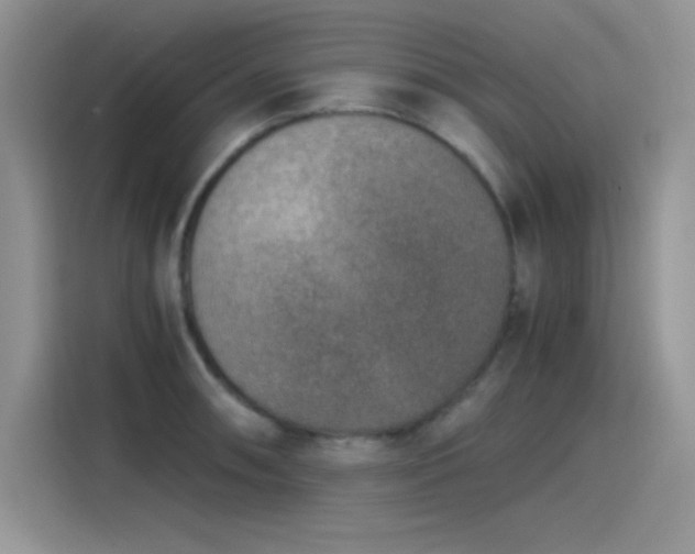 X0000115511090200911131336