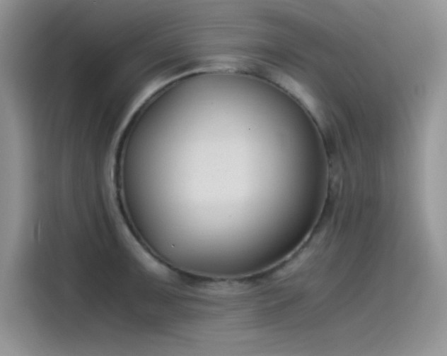 X0000115511091200911131336