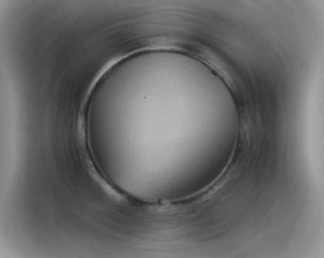 X0000115511092200911131336