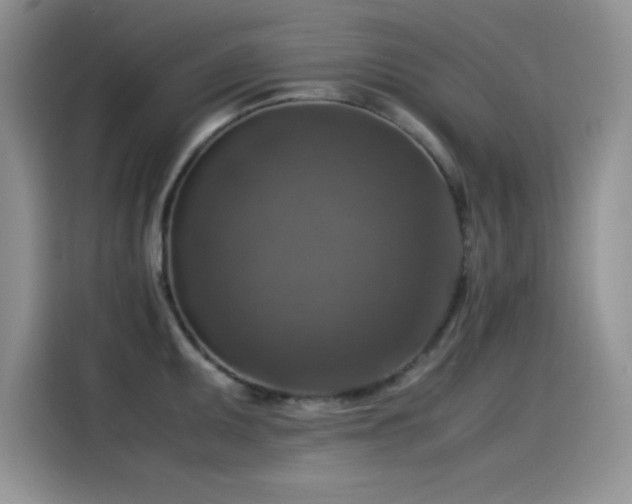 X0000115511095200911131336