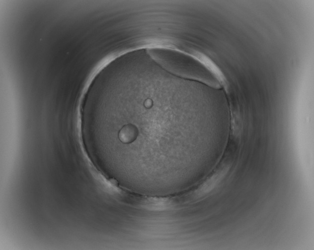 X0000115511096200911131336