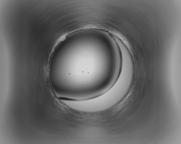 X0000115511097200911131336