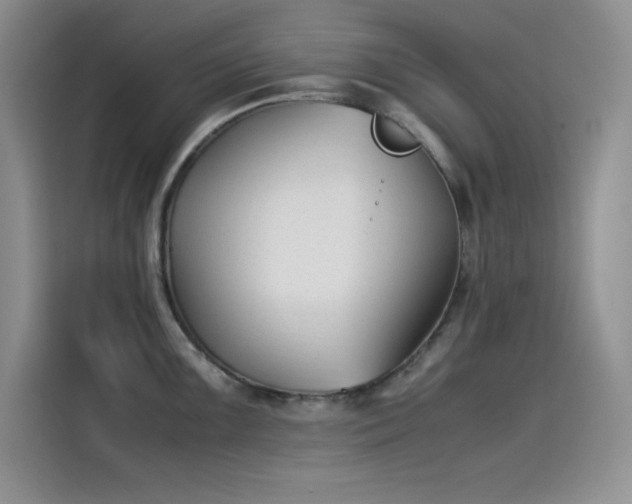 X0000115511099200911131336