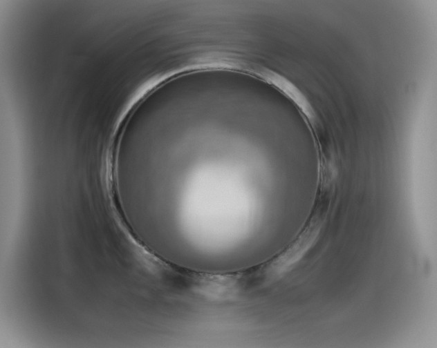 X0000115511101200911131336