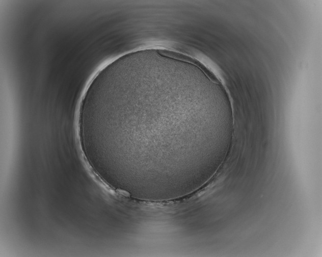 X0000115511104200911131336