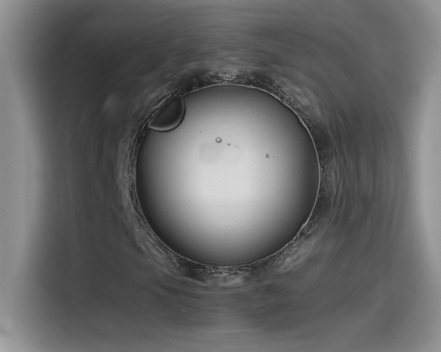 X0000115511105200911131335