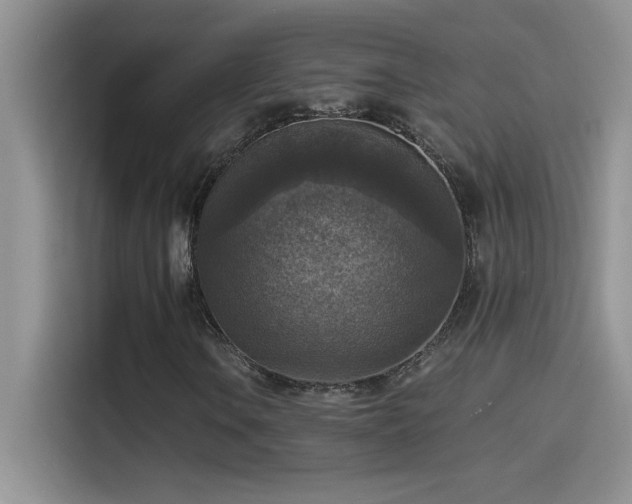 X0000115511106200911131335