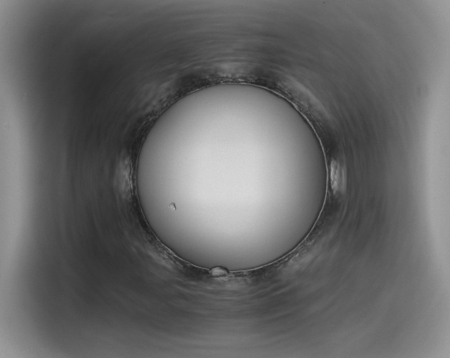 X0000115511107200911131335