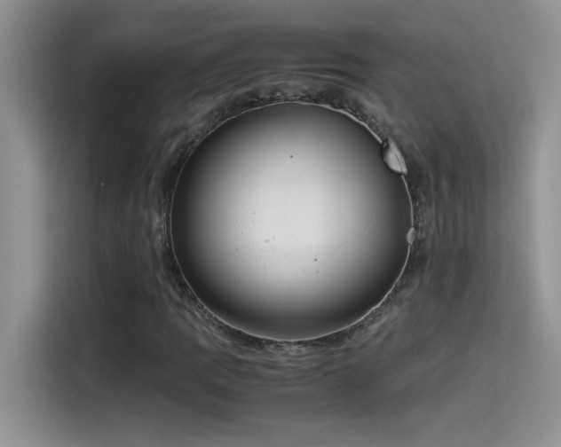 X0000115511109200911131335