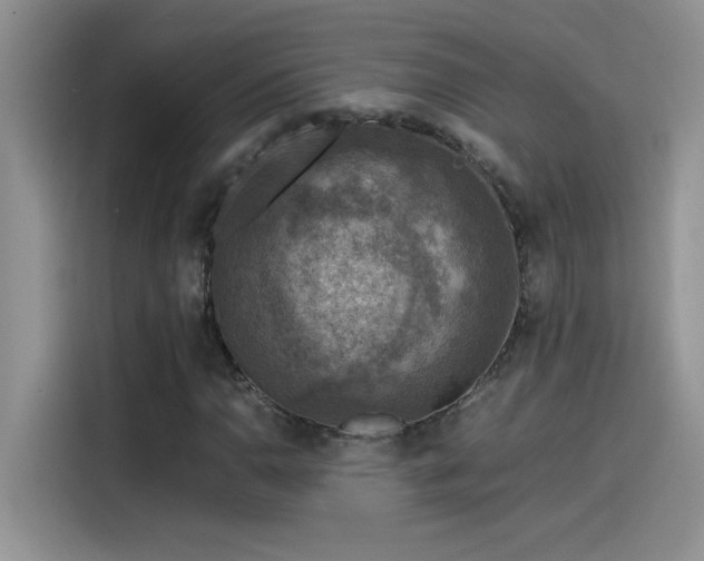 X0000115511110200911131335