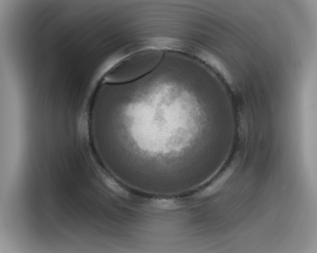 X0000115511114200911131335