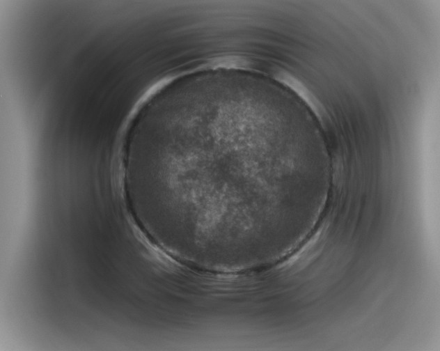 X0000115511115200911131335