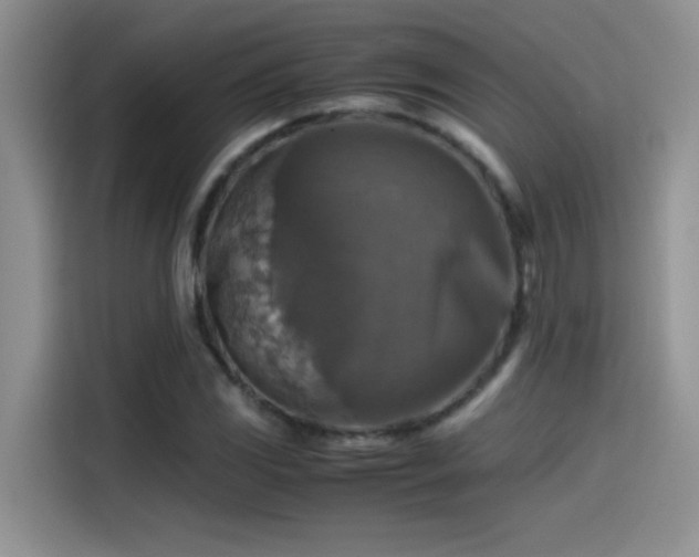 X0000115511117200911131335