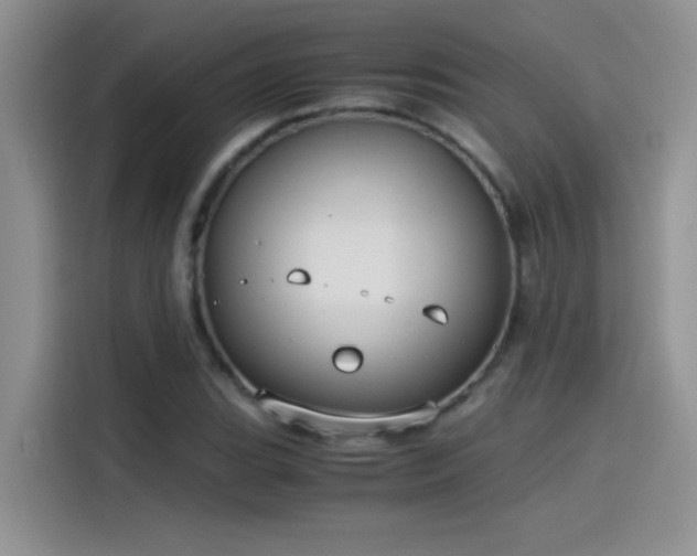 X0000115511119200911131335