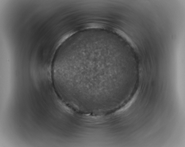 X0000115511121200911131335