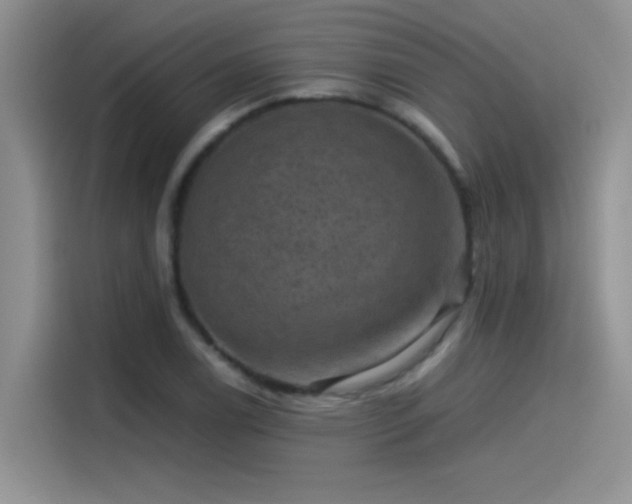 X0000115511122200911131335