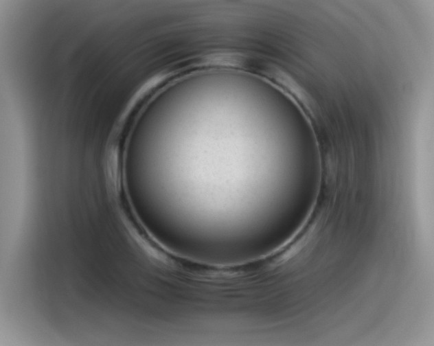 X0000115511123200911131335