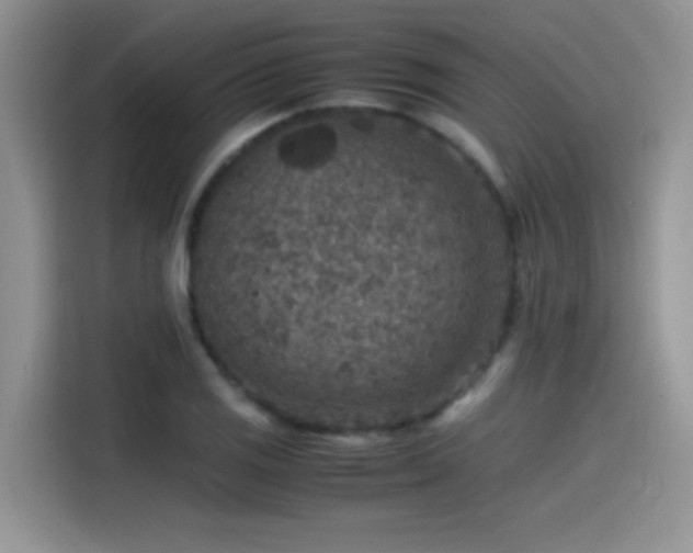 X0000115511125200911131335