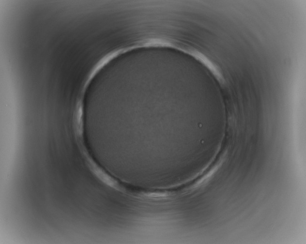 X0000115511126200911131335