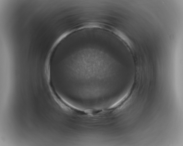 X0000115511127200911131335