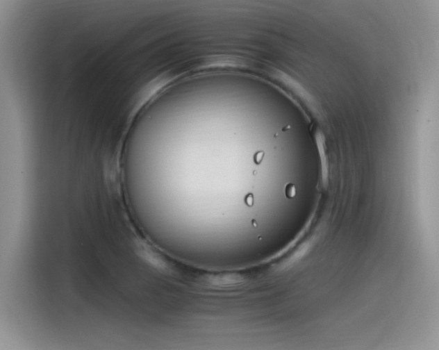 X0000115511129200911131335