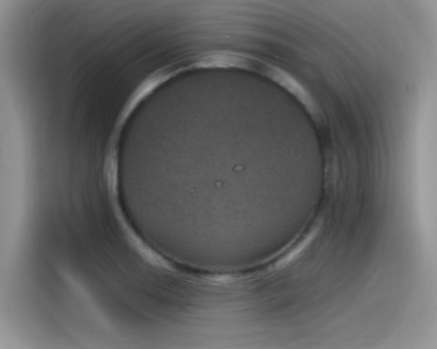 X0000115511130200911131335