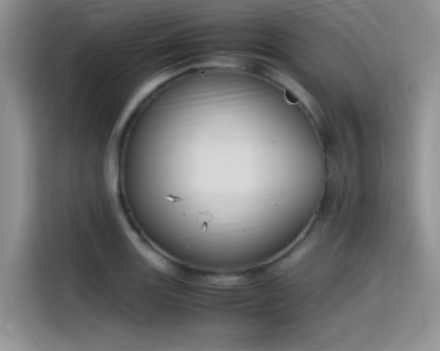 X0000115511131200911131335