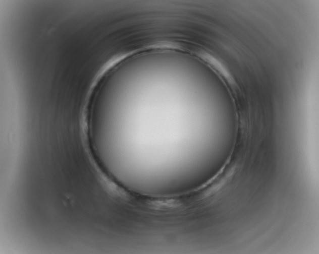 X0000115511133200911131336