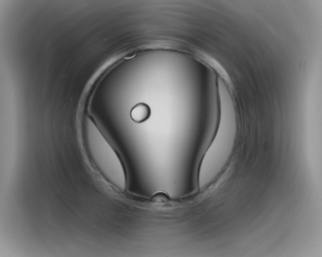 X0000115511138200911131336