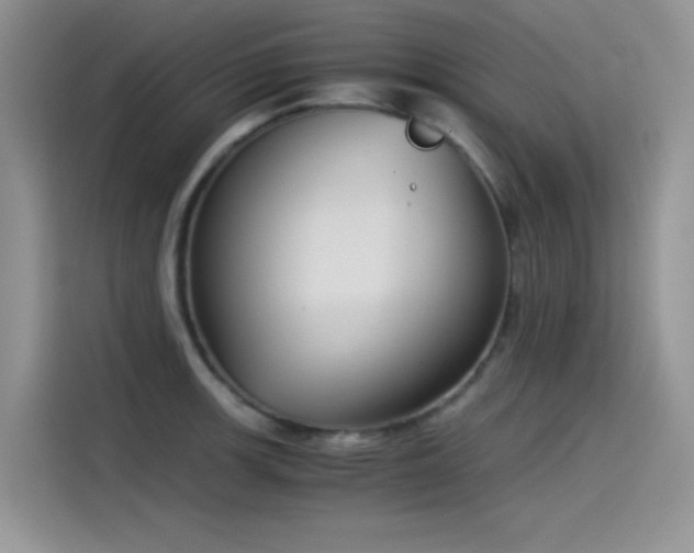 X0000115511139200911131336