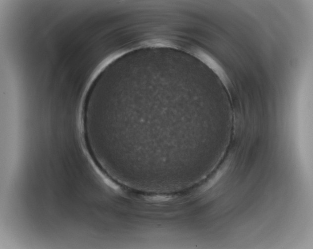 X0000115511141200911131336