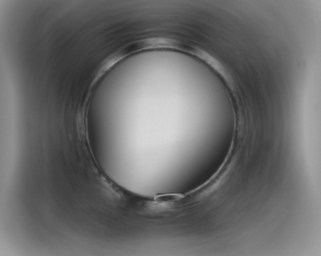 X0000115511145200911131336