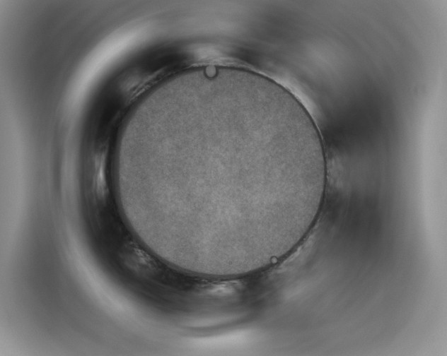 X0000115511150200911131336