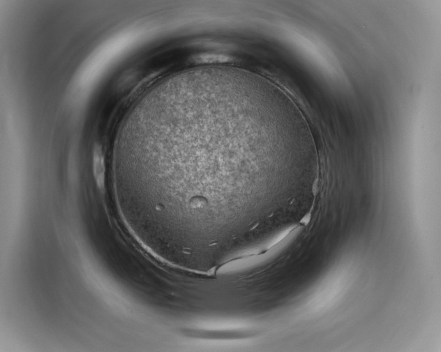 X0000115511151200911131336