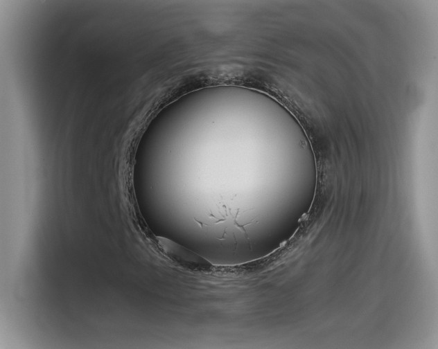 X0000115511153200911131335