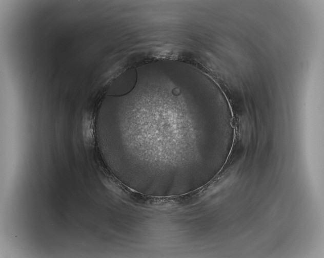 X0000115511154200911131335