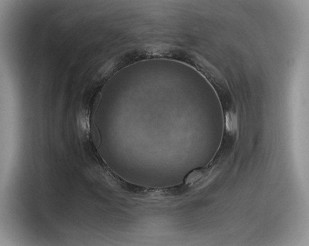 X0000115511155200911131335